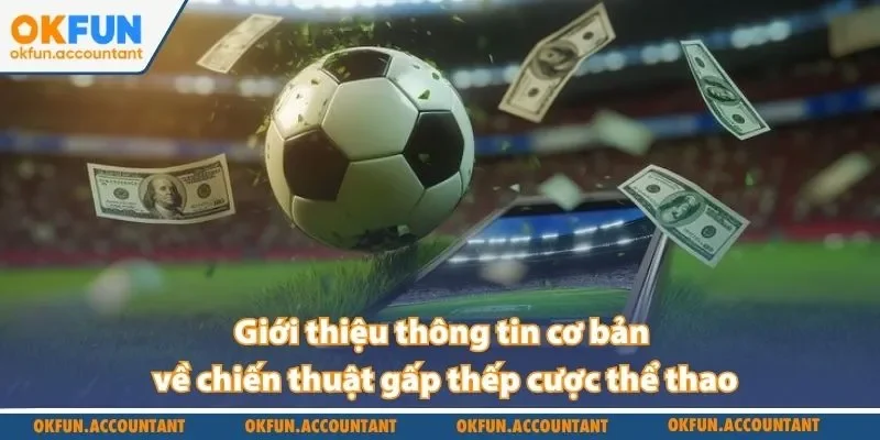 Giới thiệu thông tin cơ bản về chiến thuật gấp thếp cược thể thao