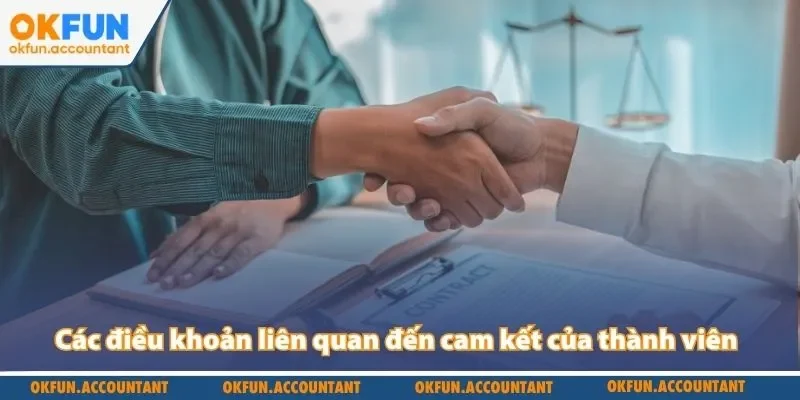 Các điều khoản liên quan đến cam kết của thành viên với nhà cái
