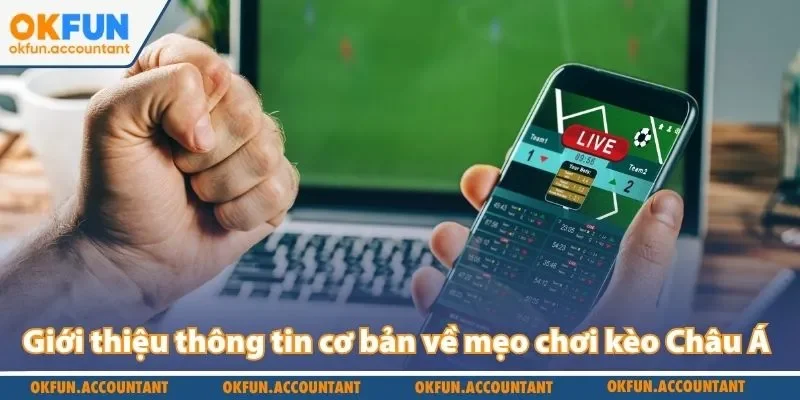 Giới thiệu thông tin cơ bản về mẹo chơi kèo Châu Á