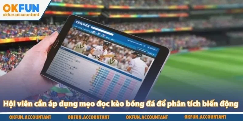 Hội viên cần áp dụng mẹo đọc kèo bóng đá để phân tích biến động 